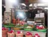 Toko bunga Bunga Vanda Asri Pasar Randusari | Semarang Jawa Tengah