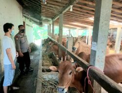 Antisipasi Virus PMK, Polres Banjarnegara Cek Peternakan Dan Pasar Hewan