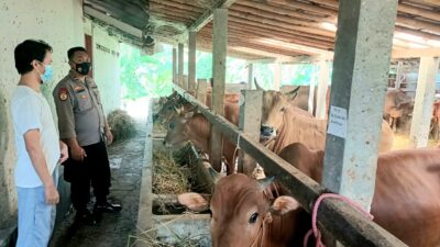 Antisipasi Virus PMK, Polres Banjarnegara Cek Peternakan Dan Pasar Hewan