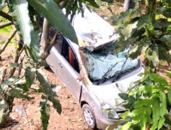 Mengantuk Saat Berkendara, Mobil Livina Terjun Ke Jurang