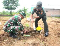 Gelar Program Penanaman 5000 Pohon Bibit Buah, Kodim 0726/Sukoharjo Gandeng Pemerintah Kecamatan dan Masyarakat