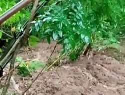 Hujan Deras Terus Mengguyur, Beberapa Rumah Warga di Kalurahan Serut, Gedangsari Rawan Terkena Material Longsoran