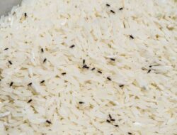 Berikut Cara Ampuh Menghilangkan Kutu dari Tempat Penyimpanan Beras Dirumah