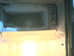 Berikut ini Salah Satu Cara Mencairkan Bunga Es Didalam Freezer