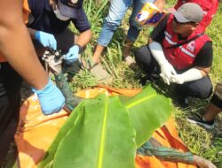 Mayat Perempuan Ditemukan dalam Kondisi Memperihatinkan di Bawah Jembatan Sungai Gajahwong