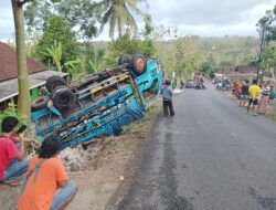 As Roda Patah, Truk Pengangkut Bawang Merah Terguling Ditanjakan Plosodoyong Gedangsari