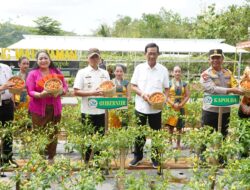 Bupati Sunaryanta Dampingi Gubernur DIY Hadiri Gelar Potensi Lumbung Mataraman di Kedungpoh Nglipar